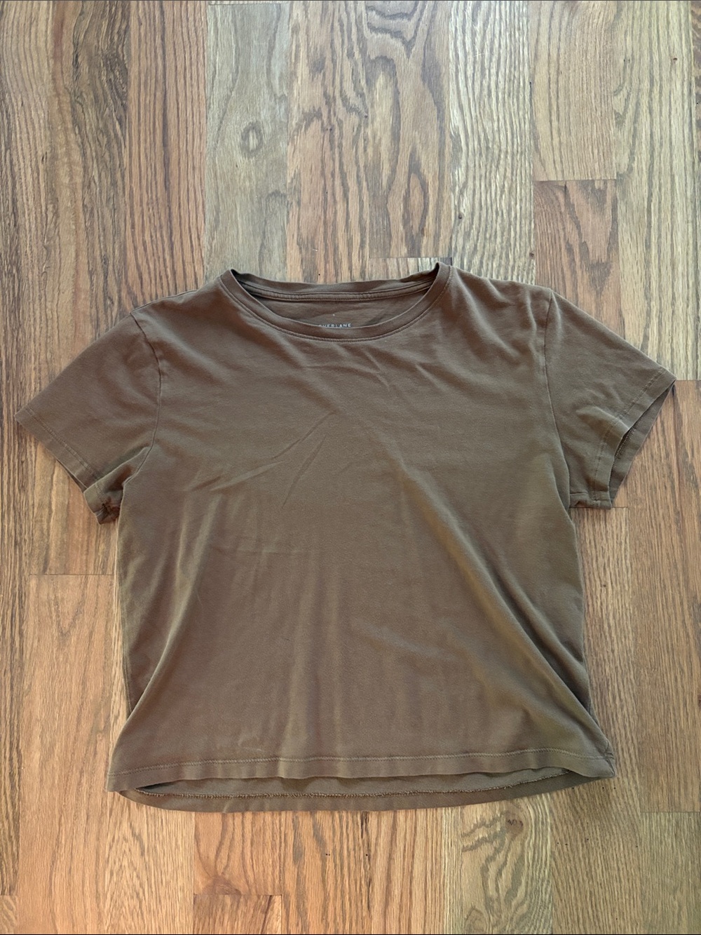 Everlane Olive Brown Short Sleeve Crew Tee